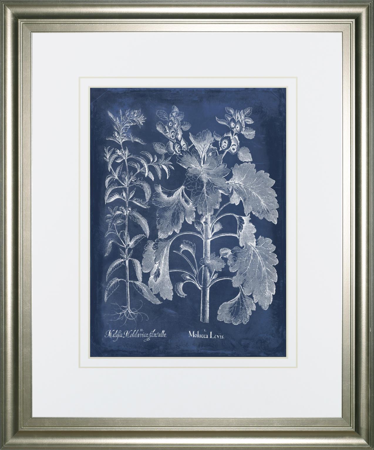 34x40 Besler Leaves in Indigo I By Vision Studio - Blue