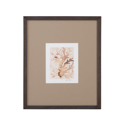 Parchment Coral - III Framed Print - Brown