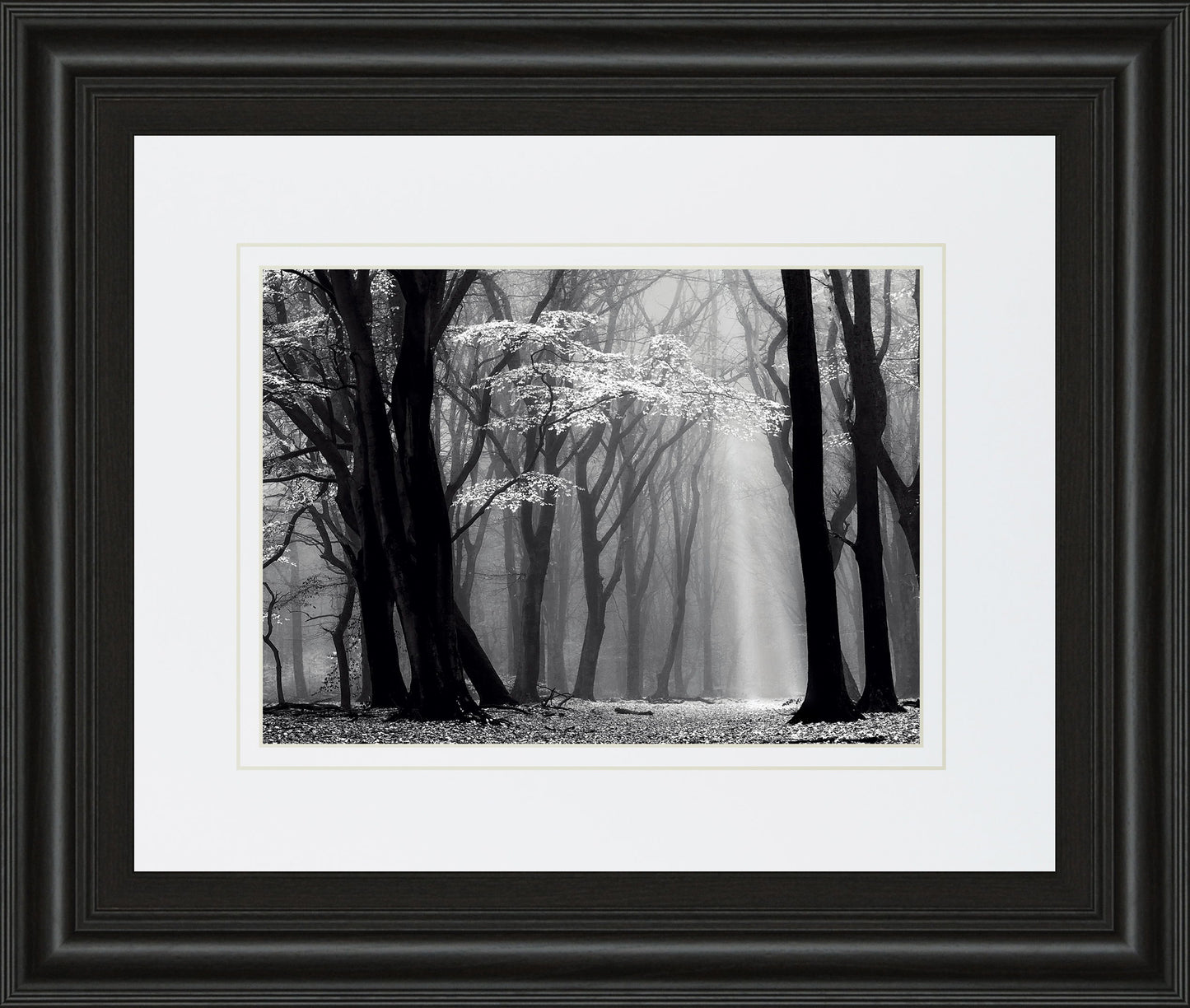 Winter Is Coming By Lars Van De Goor - Framed Print Wall Art - Black