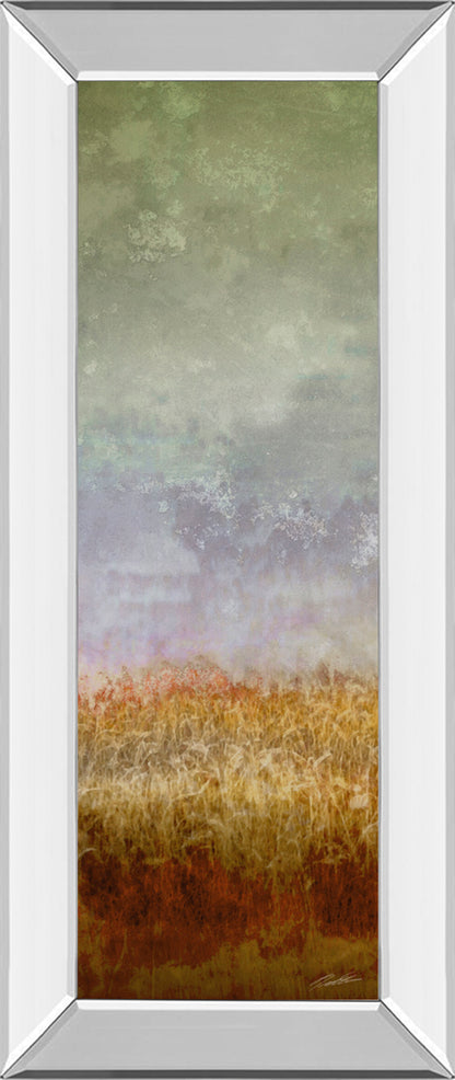 Lush Field Il By John Butler - Mirror Framed Print Wall Art - Dark Gray