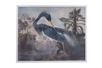 Blue Heron - Framed Print - Dark Gray