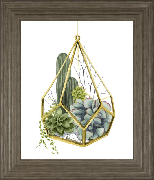 22x26 Wild Terrarium IV By Grace Popp - Green