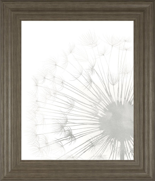 22x26 Dandelion Whisper II By Grace Popp - Pearl Silver