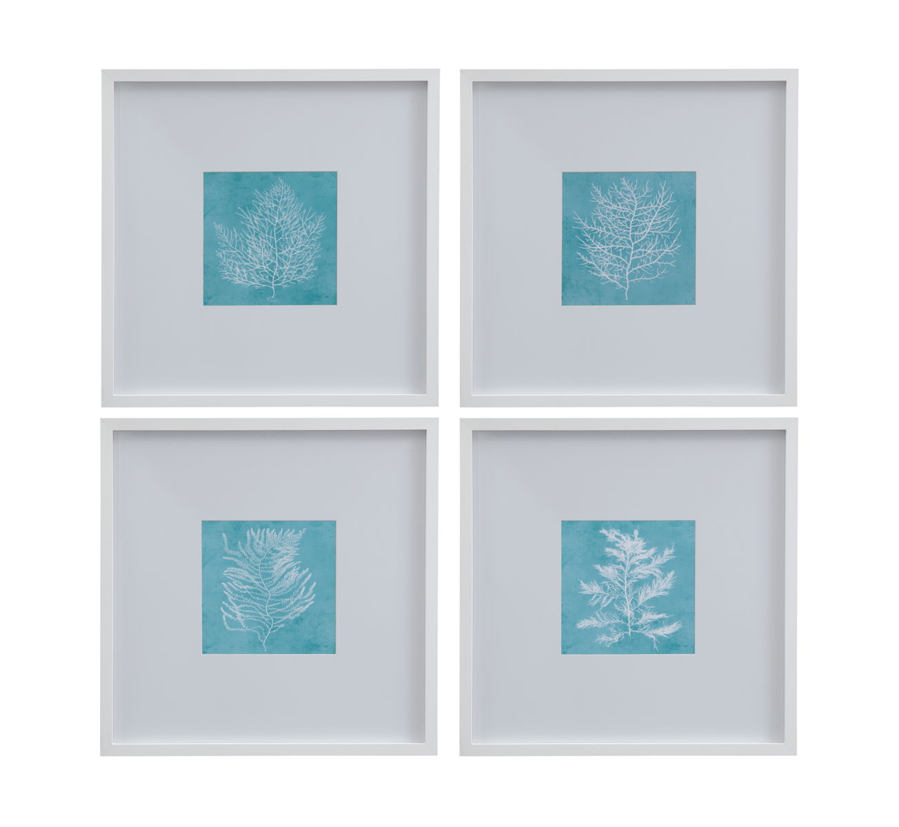 White Coral On Blue - IV Framed Print - Blue / White