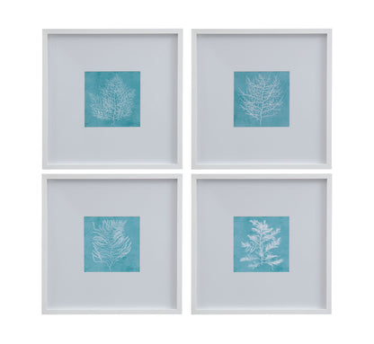 White Coral On Blue - IV Framed Print - Blue / White