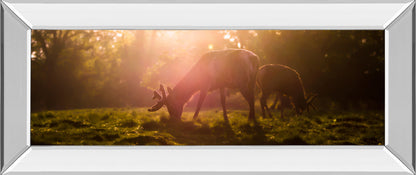 Morning Haze By Joe Reynolds - Print Wall Art - Dark Brown