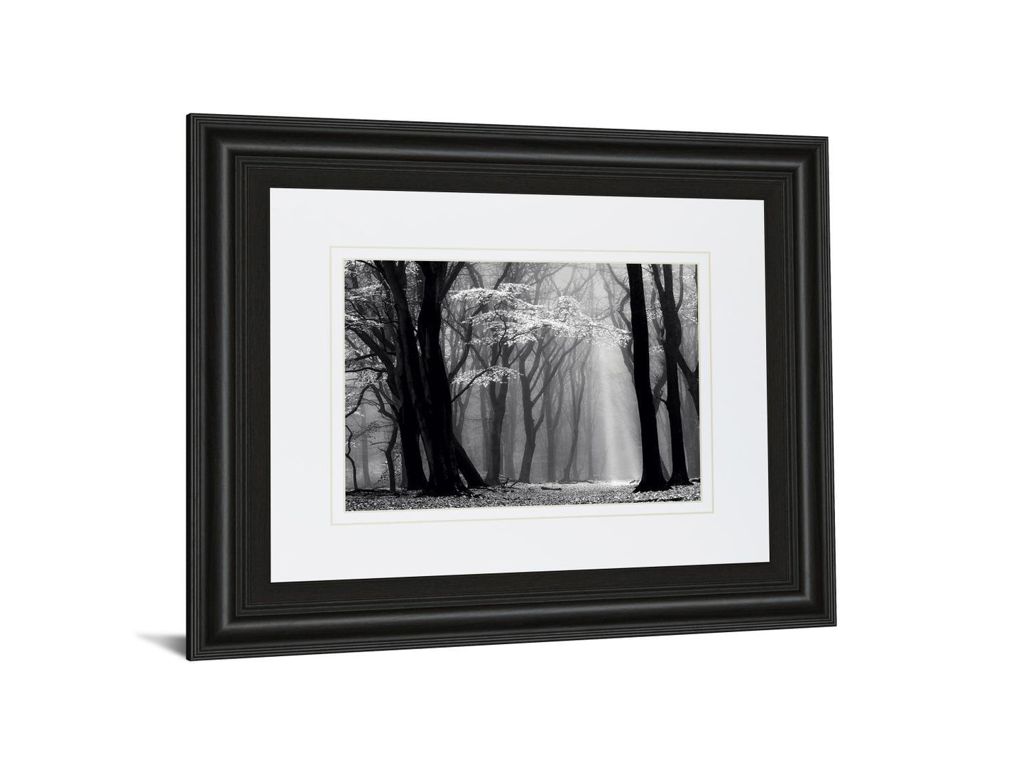 Winter Is Coming By Lars Van De Goor - Framed Print Wall Art - Black