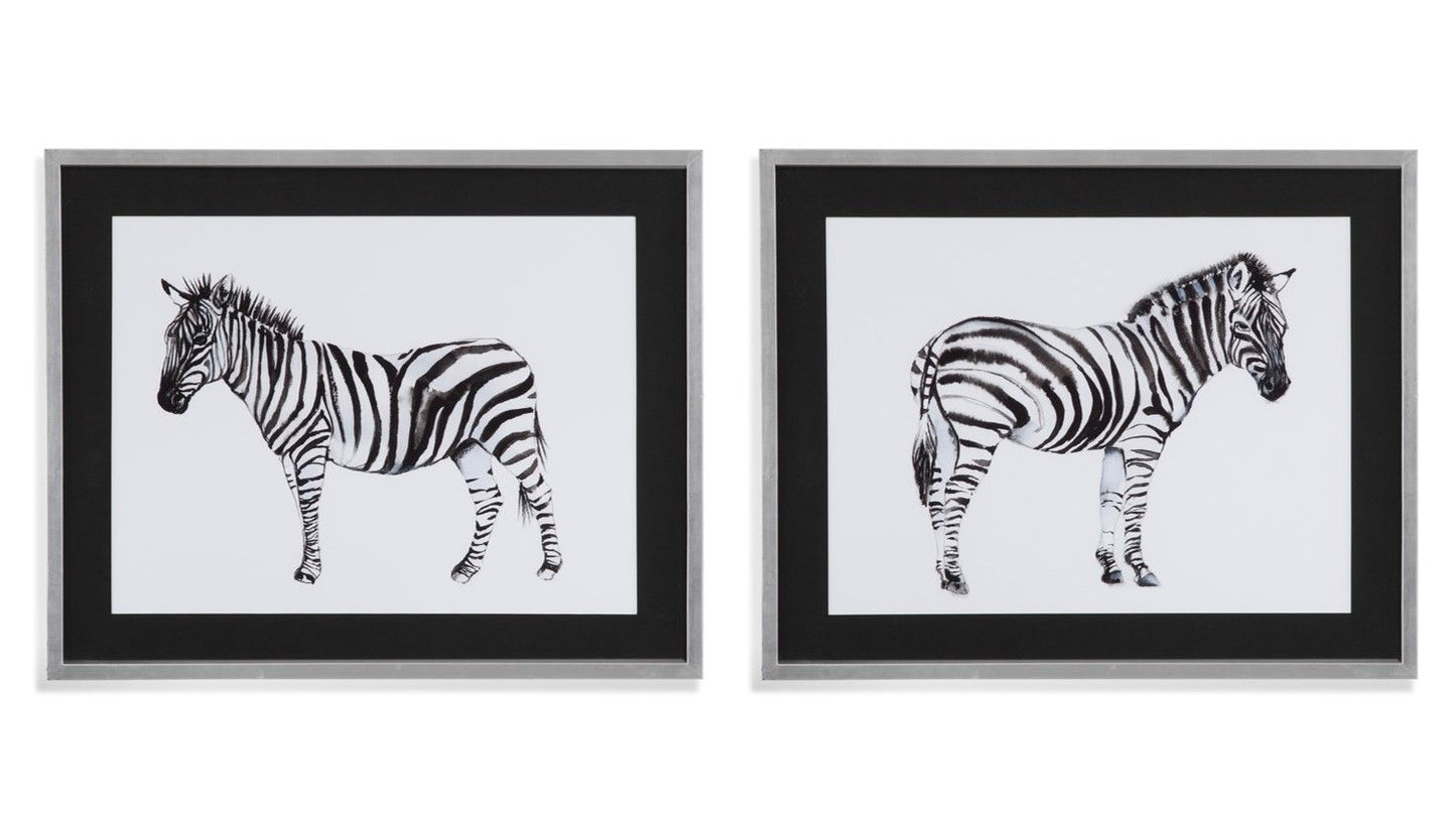 Standing Zebra - Framed Print (Set of 2) - Black