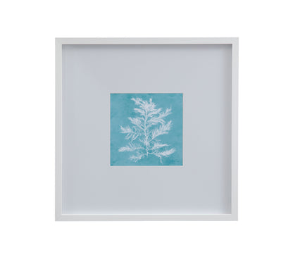 White Coral On Blue - IV Framed Print - Blue / White