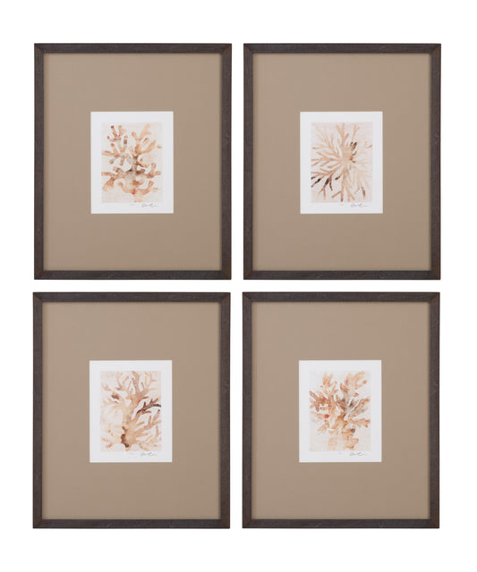 Parchment Coral - Framed Print (Set of 4) - Brown