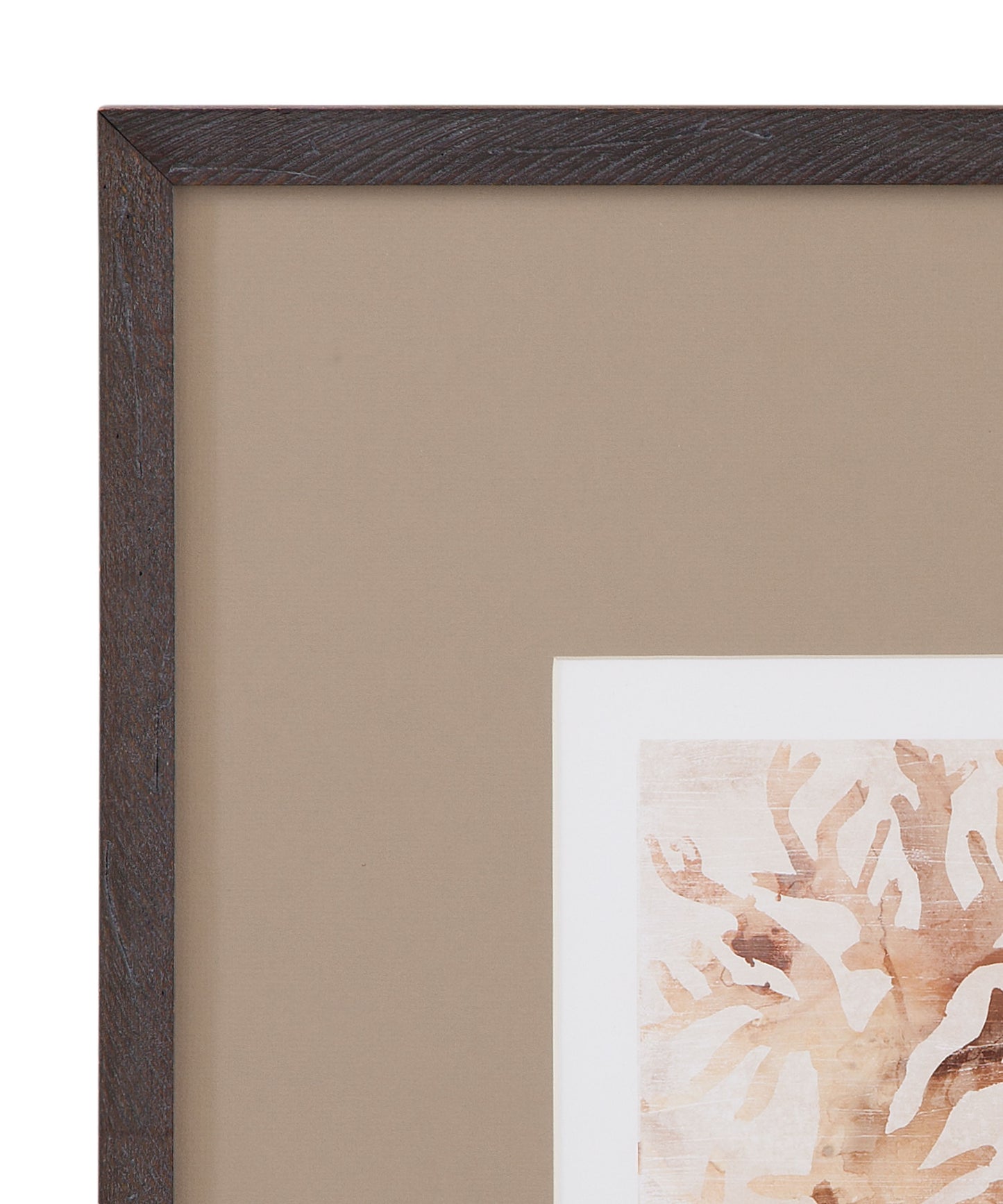 Parchment Coral - III Framed Print - Brown