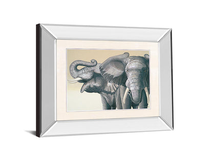 Elephant By Peter Moustakas - Mirror Framed Print Wall Art - Dark Gray