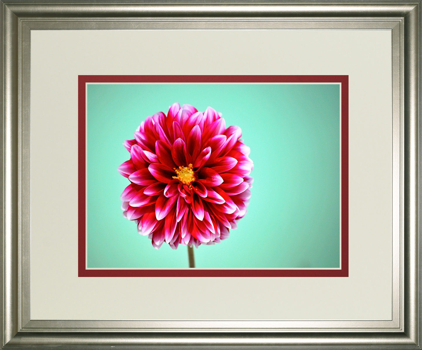 Zenia By Gail Peck - Framed Print Wall Art - Pink