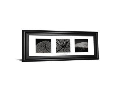 Elements Of Nature 2 By Chris Simpson - Framed Print Wall Art - Black