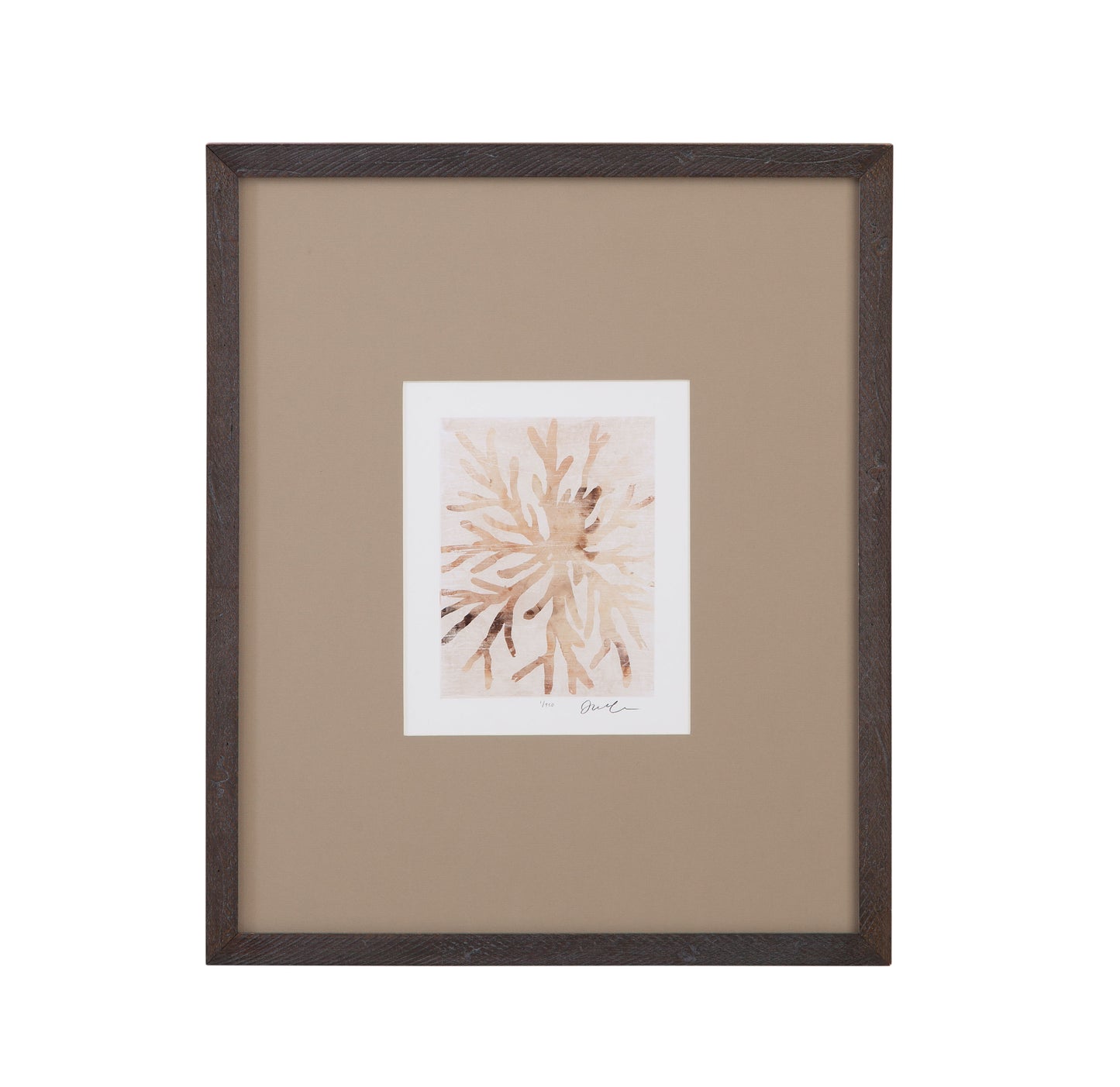 Parchment Coral - II Framed Print - Brown