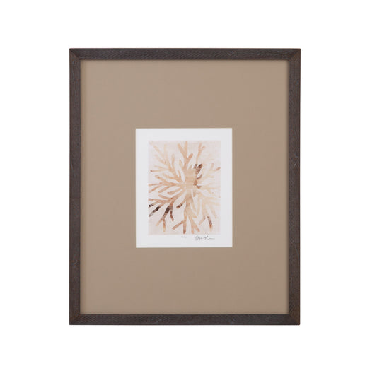 Parchment Coral - II Framed Print - Brown