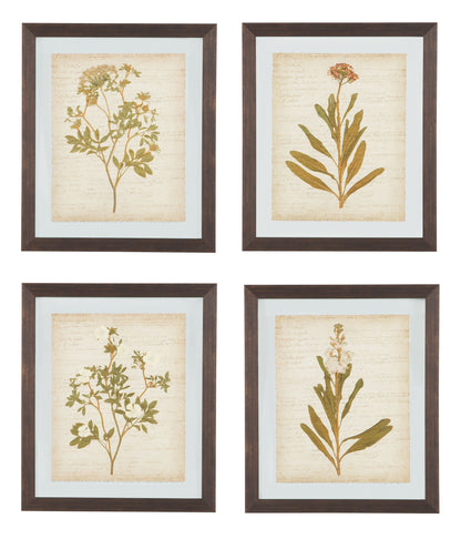 Dyani - Brown - Wall Art Set (Set of 4)